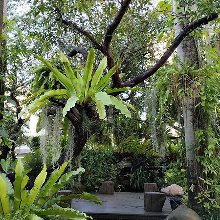 Sareeviengping Hotel Chiangmai Chiang Mai Extérieur photo