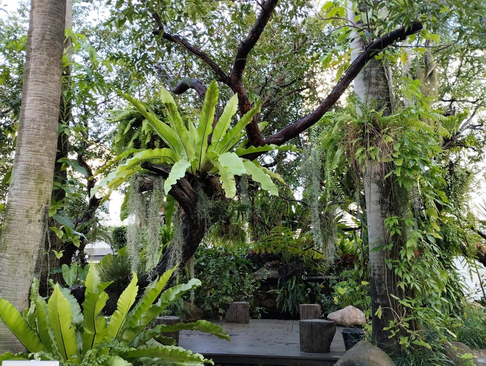 Sareeviengping Hotel Chiangmai Chiang Mai Extérieur photo
